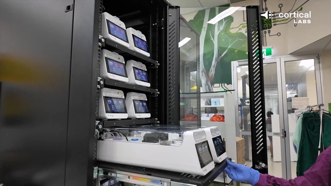 武汉全国现,代五项冠军,赛圆满收官,皇冠体育官网,皇冠体育官网全球信赖,皇冠体育官网在线娱乐平台